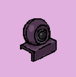 ace Reveal? — place the webcam