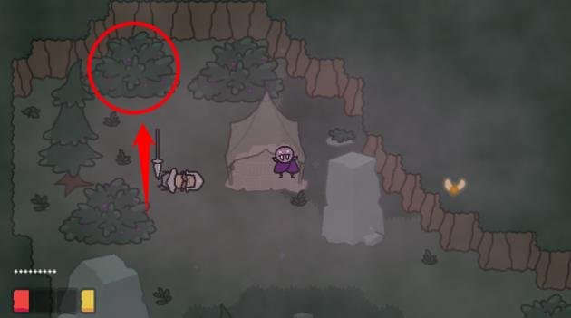 Vampy's Big Day Level 4 Gnome 4 location inside the top-left bush near the Hollowseed room